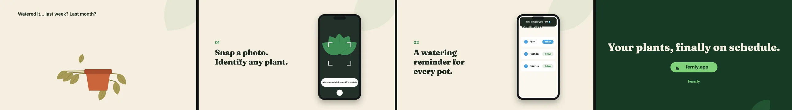 Four frames from version 2: a drooping plant on a cream background, a phone scanning a leaf, a feature screen labeled 02, and the end card with the headline and a pill-shaped fernly.app button